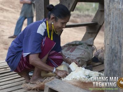 3-days/2-nights Trekking Tour | Chiang Mai Trekking | Le meilleur trekking à Chiang Mai avec Piroon Nantaya